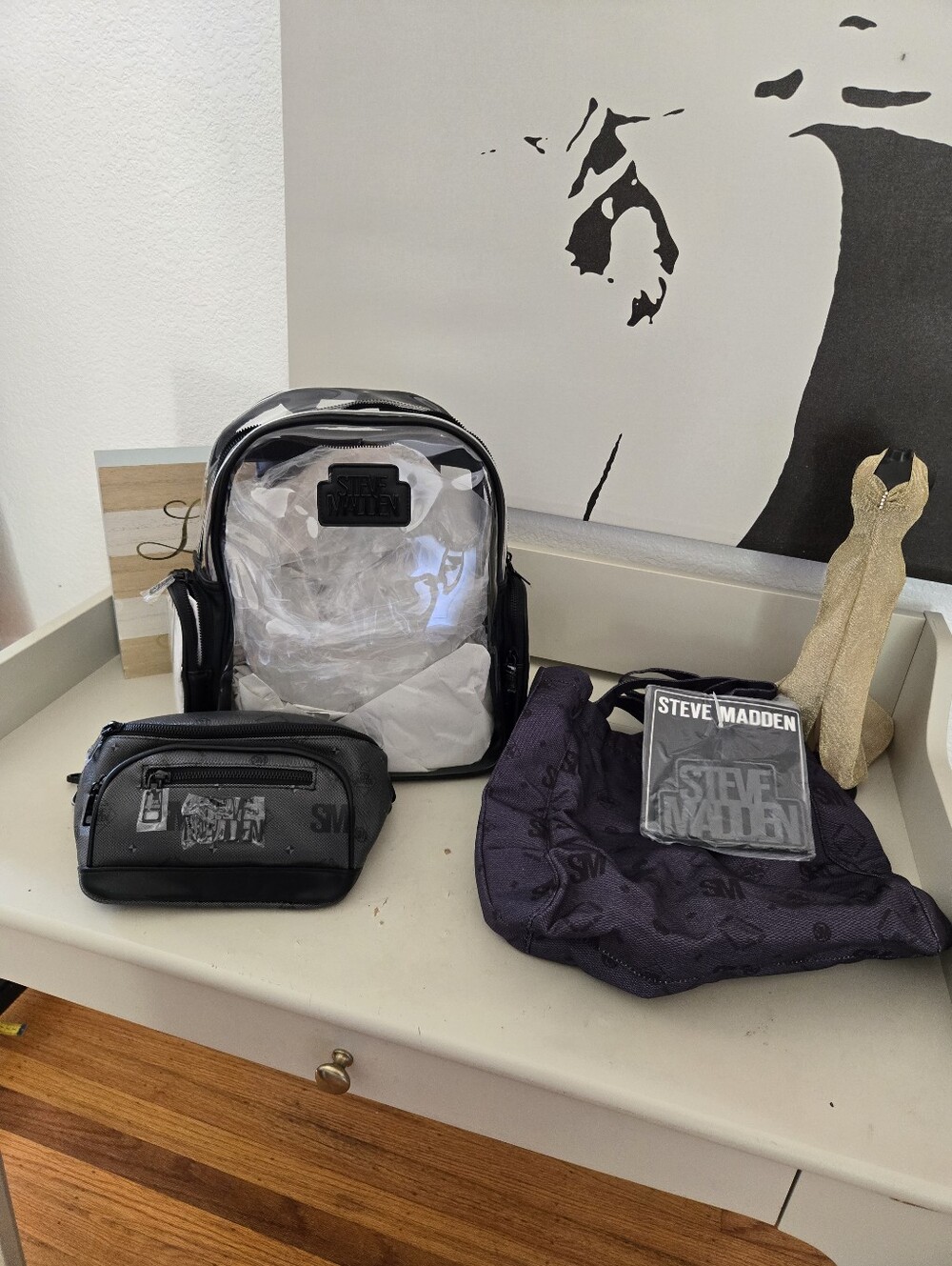 NWT Steve Madden Transparent Birma Clear Backpack set